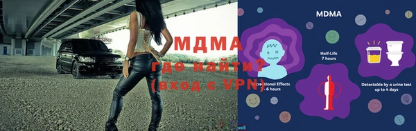 ГАЛЛЮЦИНОГЕННЫЕ ГРИБЫ Аркадак