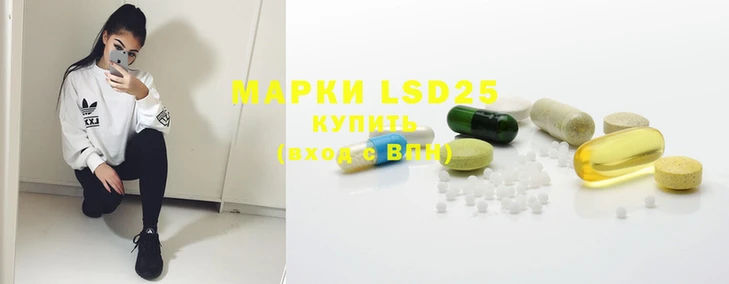 ГАЛЛЮЦИНОГЕННЫЕ ГРИБЫ Аркадак
